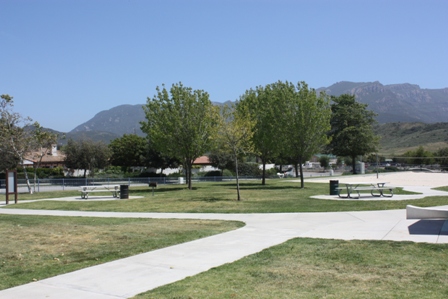 DVN035