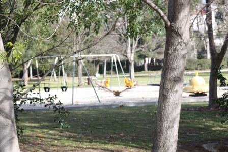 SpringMeadow11