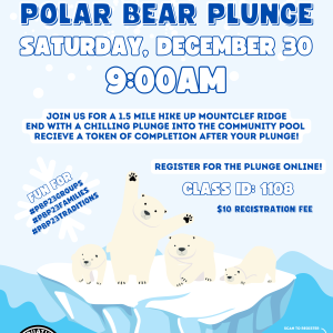 Flyer for Polar Bear Plunge event