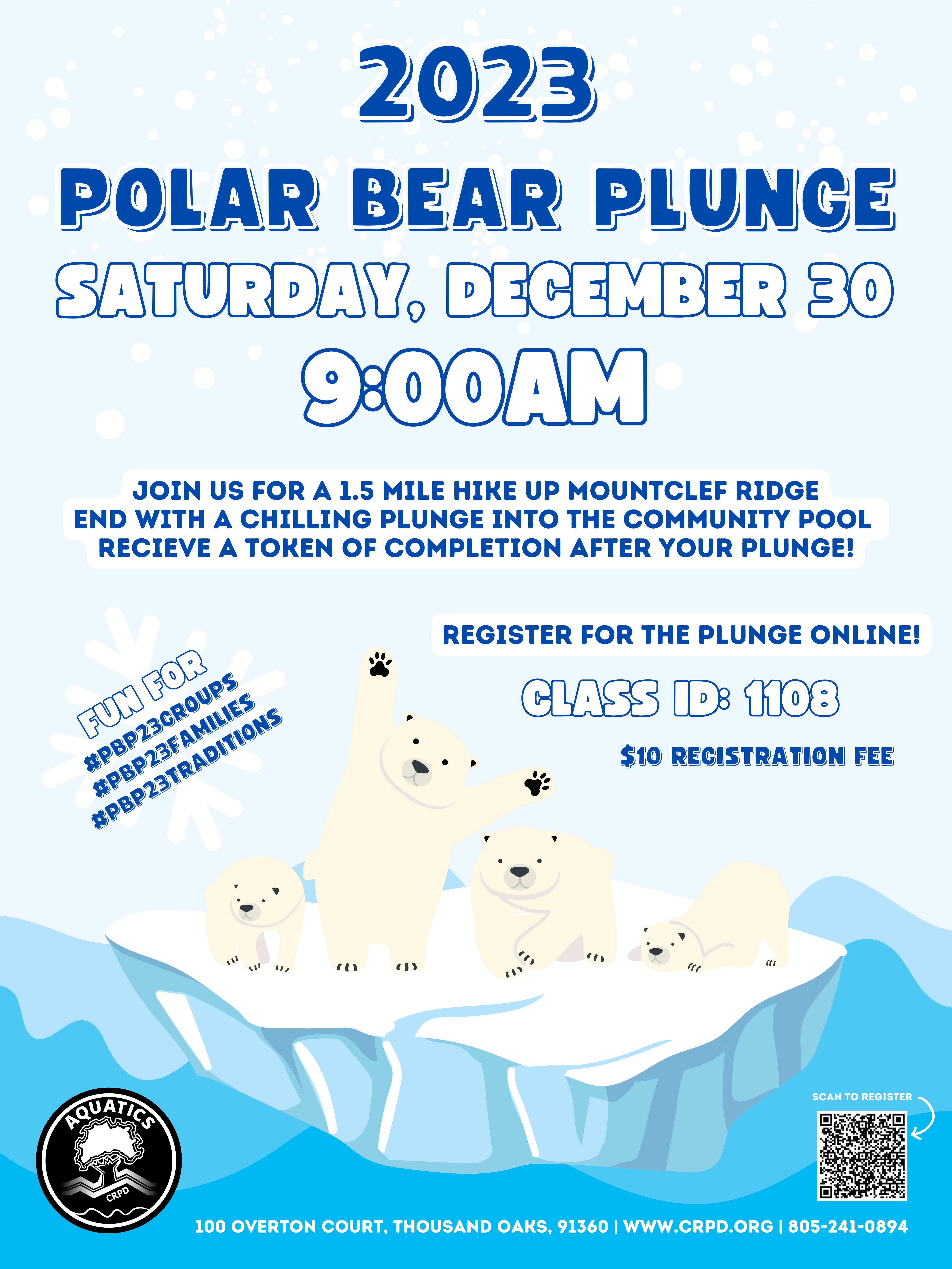 Flyer for Polar Bear Plunge event
