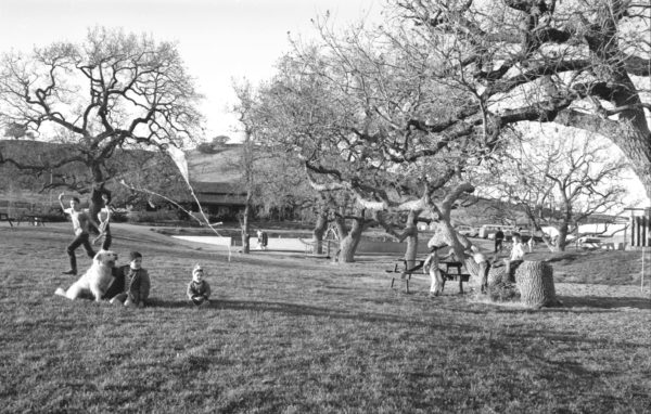 early photo of kids and dog running in the park. some of the kids are playing with a kite