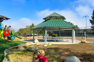 Charity Karaoke - Conejo Recreation and Park District