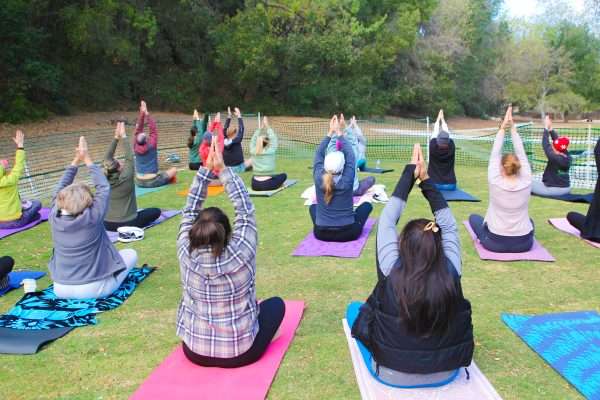 Goat Yoga-4 Goat Yoga-4