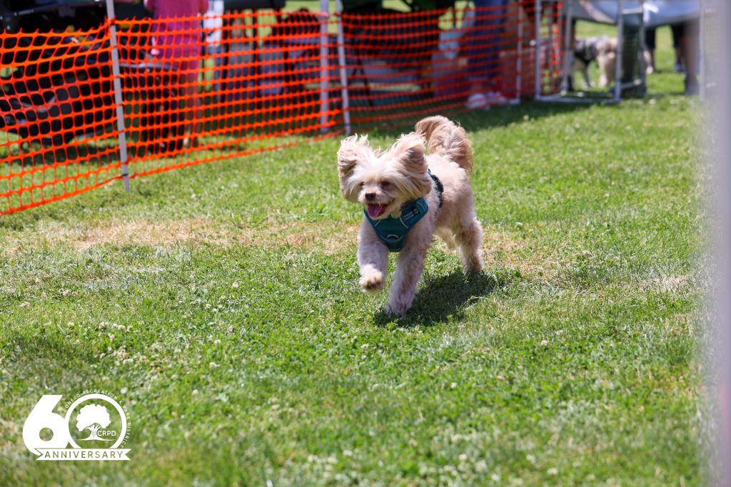 Bark in the Park at Conejo Creek Park North in Thousand Oaks on