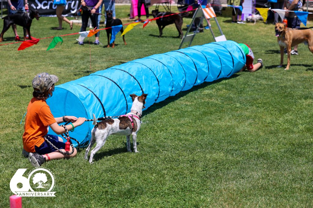 Bark in the Park at Conejo Creek Park North in Thousand Oaks on