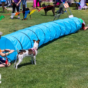 Bark Park-136