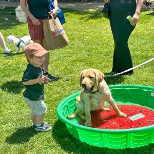 Bark in the Park 2023-3