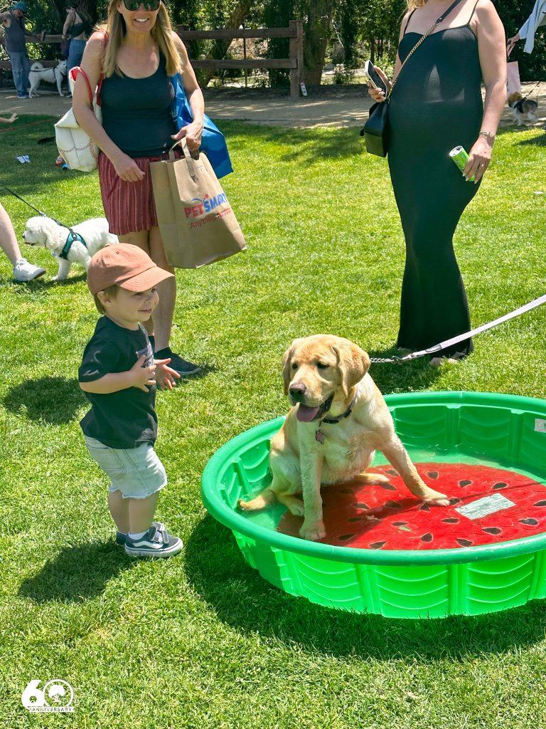 Bark in the Park Conejo Recreation and Park District