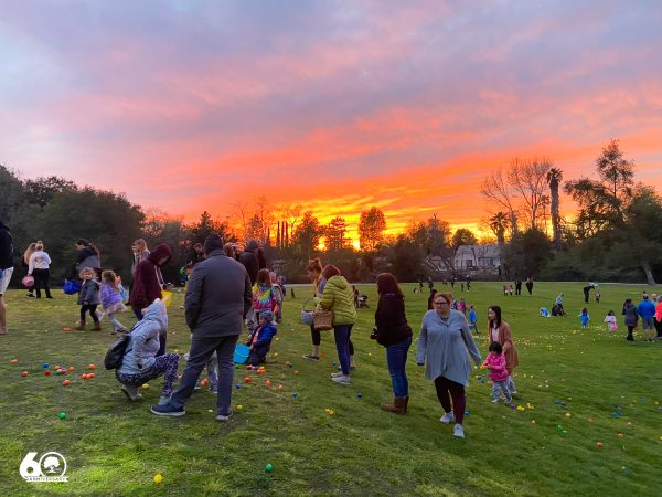 Egg Hunt 2023-13