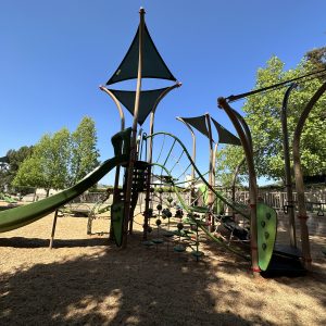 Banyan Park Playground Photo 2