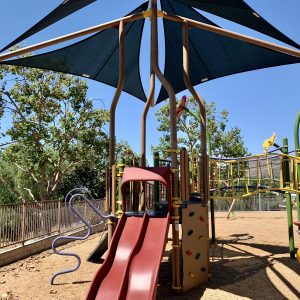 Wildflower Playfield Park Photo 2