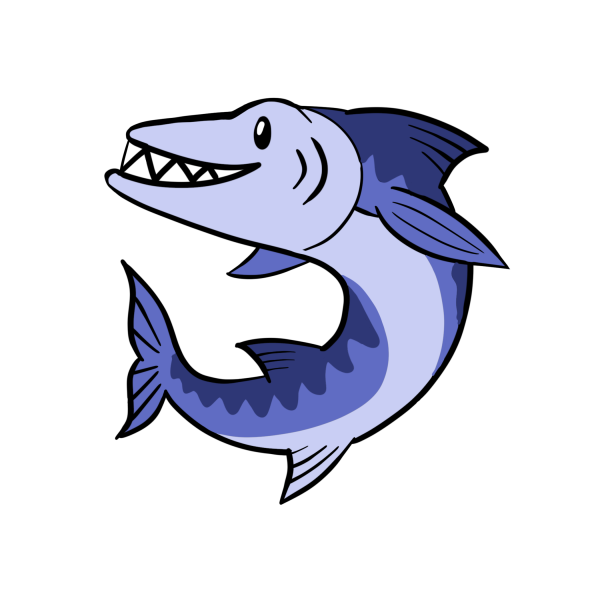 barracuda illustration