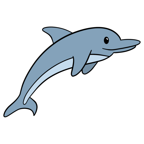 dolphin illustration