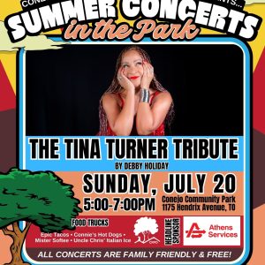 sumcon tina turner
